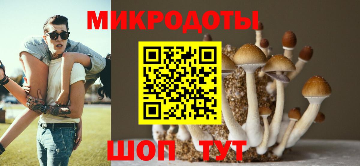 Галлюциногенные грибы ЛСД Шали