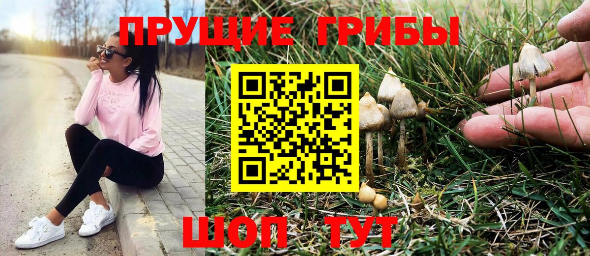 Шали  Псилоцибиновые грибы мухоморы  Вход с VPN  Галлюциногенные грибы мухоморы 